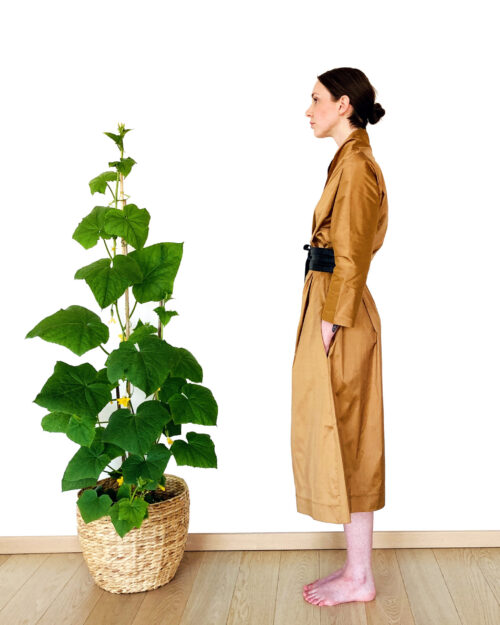 Kimono "Meekuld"